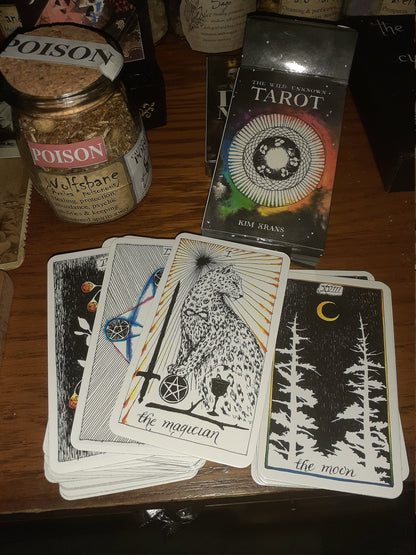 Tarot Card Reading SAME DAY with Choice of Deck and Cards and an Photo of your spread - Psychic Intuitive Spiritual Divination