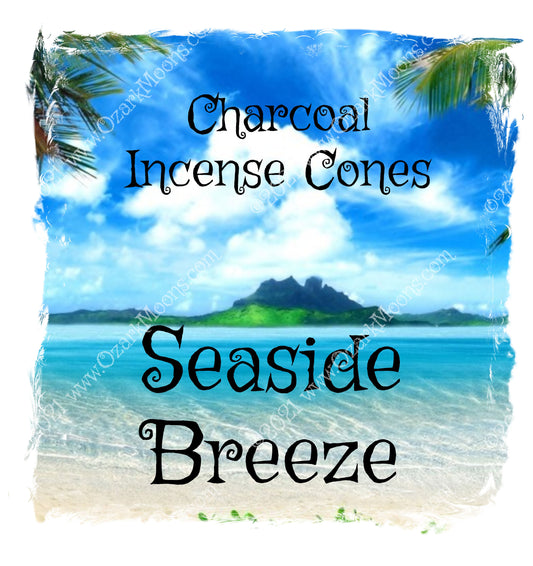 Seaside Breeze Charcoal 1" Incense Cones - Hand-Dipped Highly Scented Ocean Water and Rain Fragrance with Low Smoke