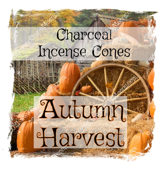 Autumn Harvest Charcoal 1" Incense Cones - Hand-Dipped Highly Scented Fall Leaves, Pumpkin, Apples, Molasses, Hayrides Fragrance